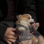 Avatar of Zubair Khalid